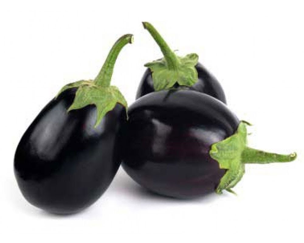 Brinjal Big (Bharta) – 450gms. to 550gms.