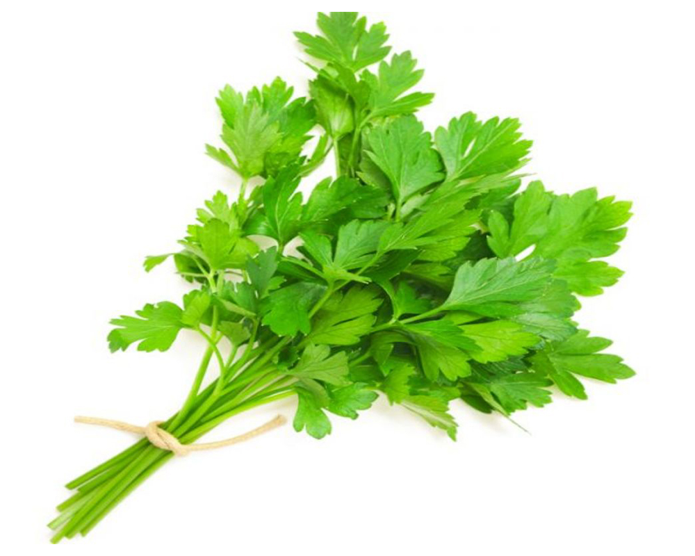 Coriander (Dhaniya) – 100gms.