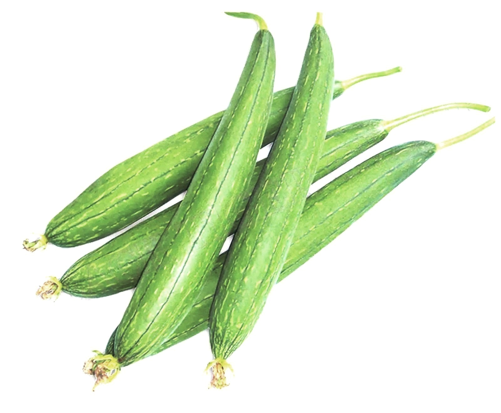 Torai – Sponge Gourd -( 250 Gm to 300 Gm )