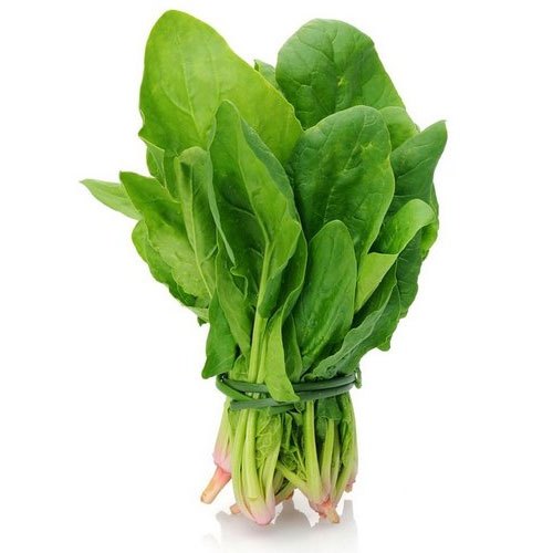 Spinach – Palak – 550-650 Gm