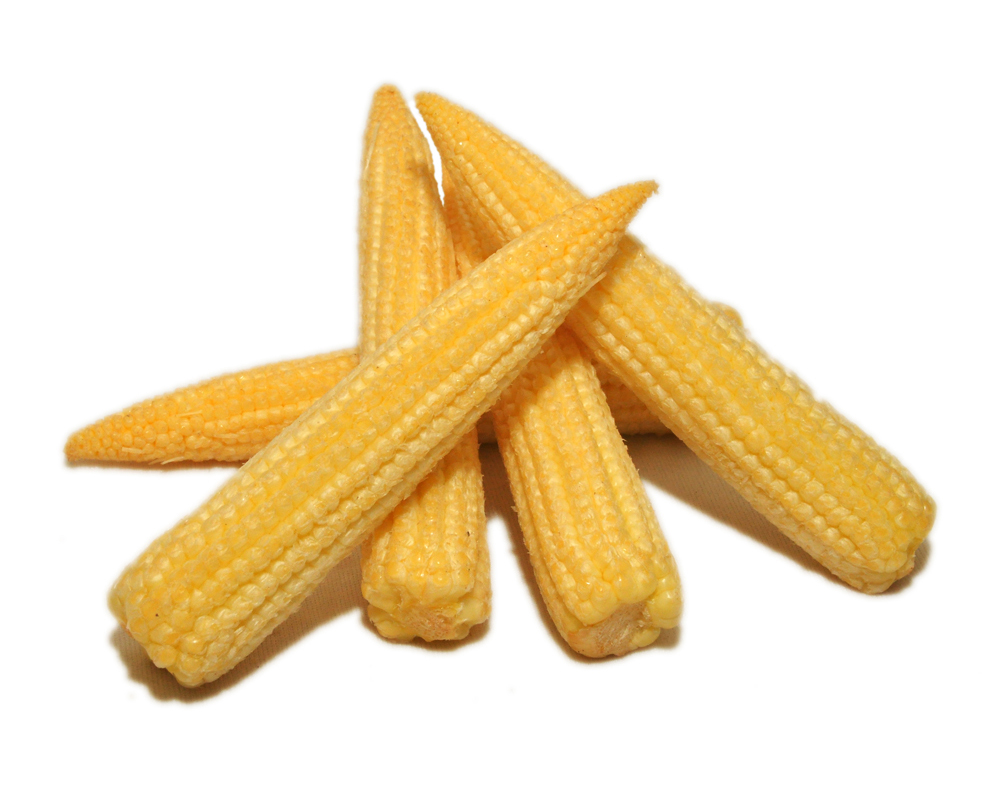 Baby Corn