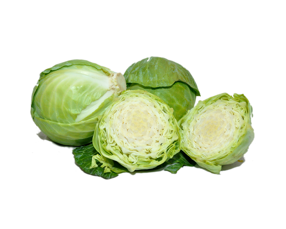 Cabbage1