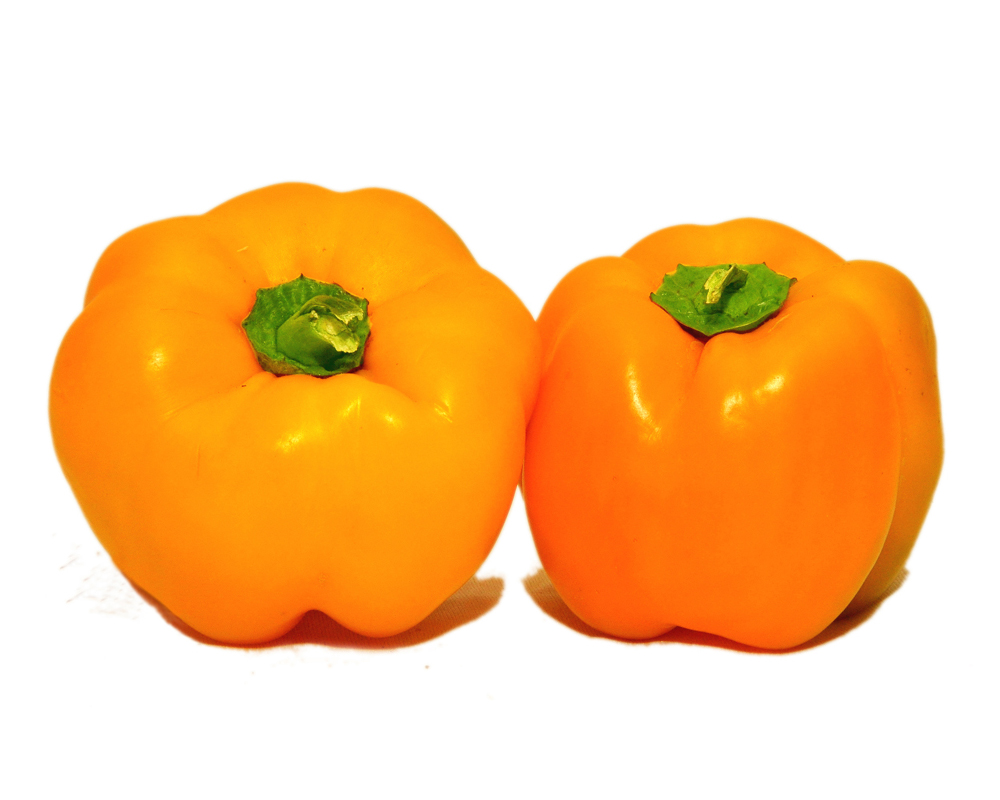 Capsicum- Yellow