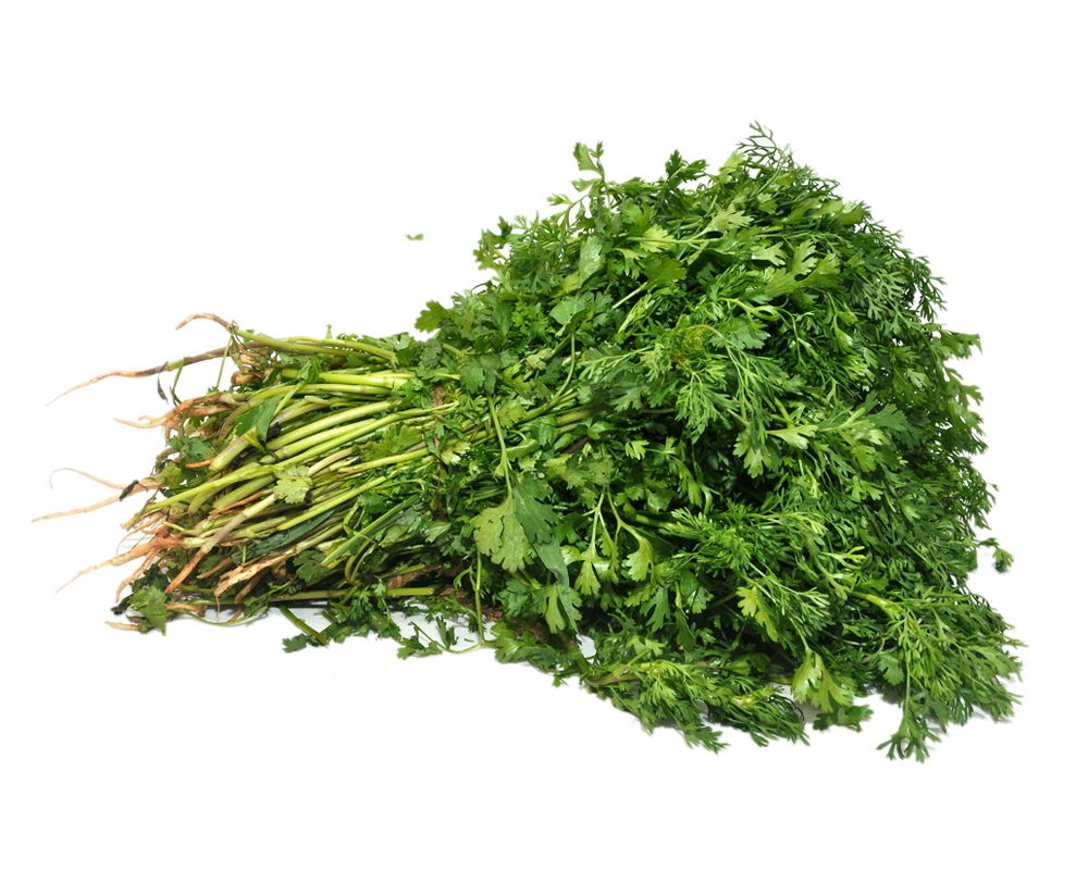 Coriander (Kothmir)