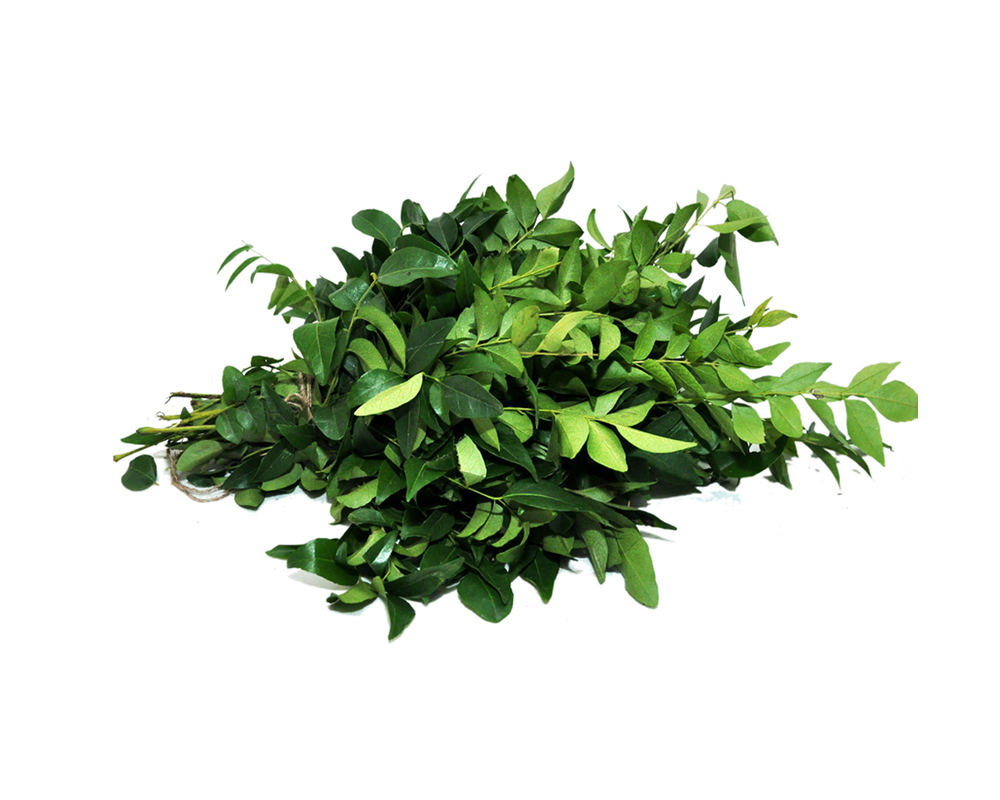 Curry Leaves (Kari Patta)