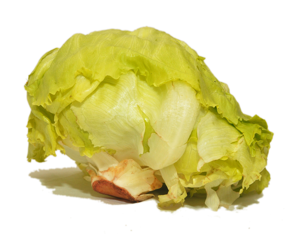 Lettuce- Iceberg