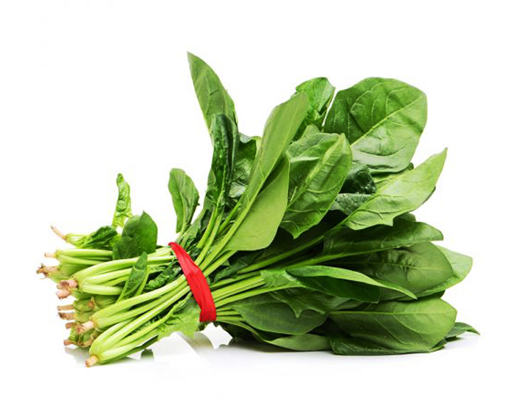 Palak (Spinich)