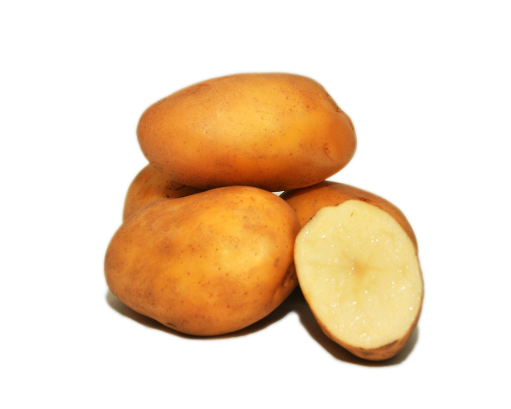 Potato