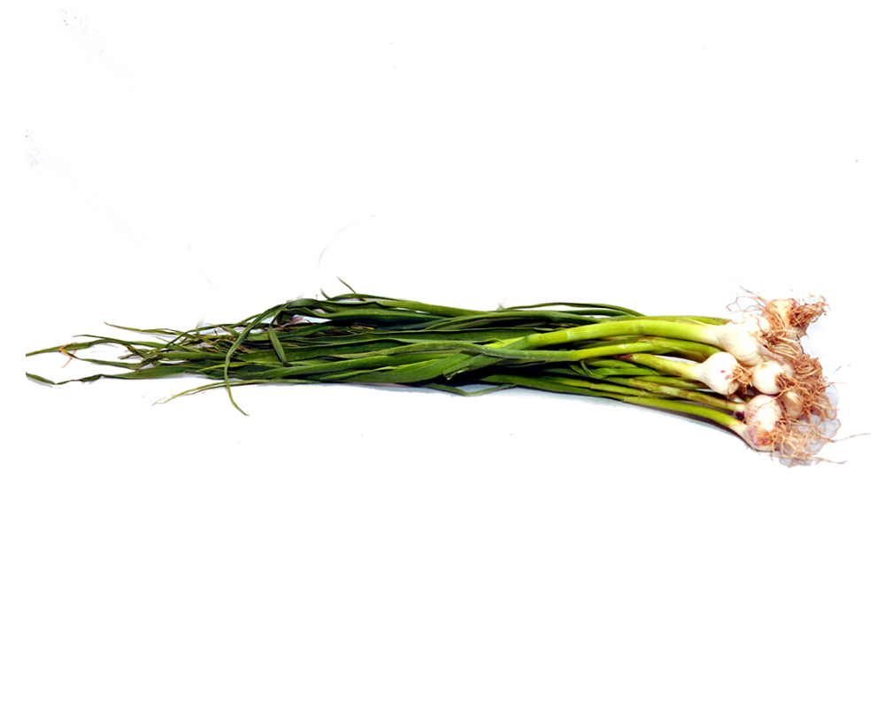 Scallion (Safed Kanda patta)