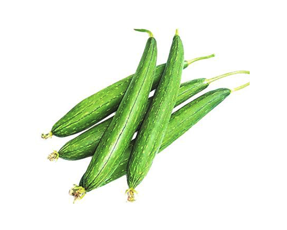 Sponge Gourd