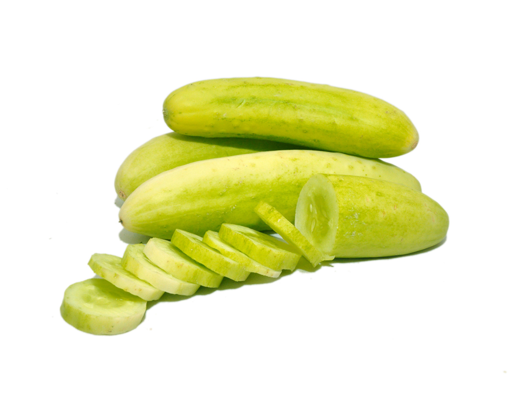 White Cucumber- Kakdi Safed1