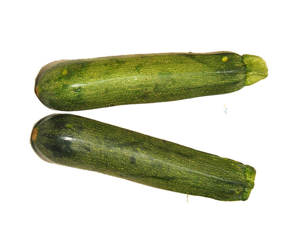 Zucchini- Green