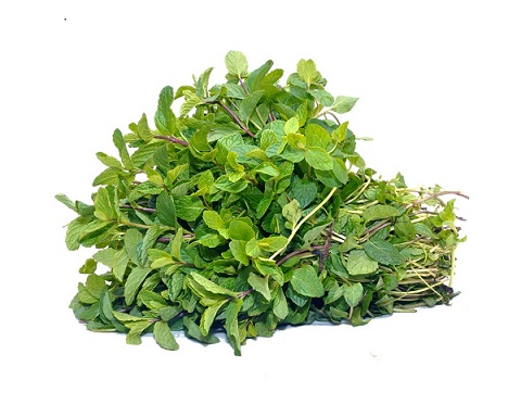 Mint Leaf (Pudina) (250gm)