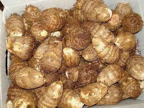 Arbi (Taro) (500gm/20rs)