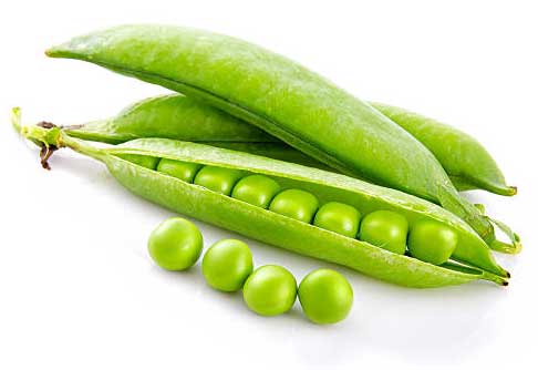 Green Peas(Hari Matar)(500gm/20rs)