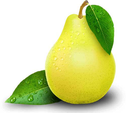 Indian Pear (Babugosha) (500gm)