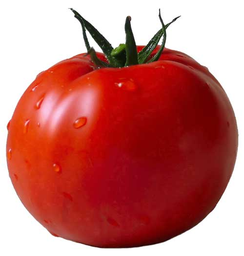 Tomato-(Organic)(Tamaatar) (1kg)