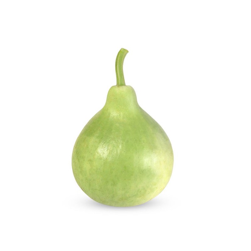 Bottle Gourd Round (Gol Lauki) 1kg