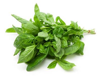 Basil-Thai Leaves